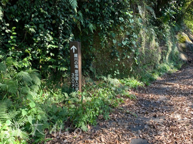雄川の滝遊歩道まで300mの看板