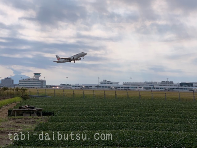 飛行機と桜島