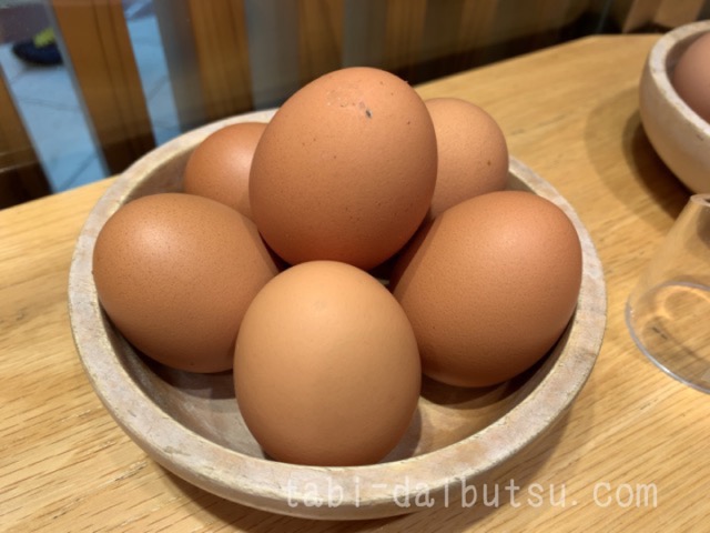 うちのたまごの卵