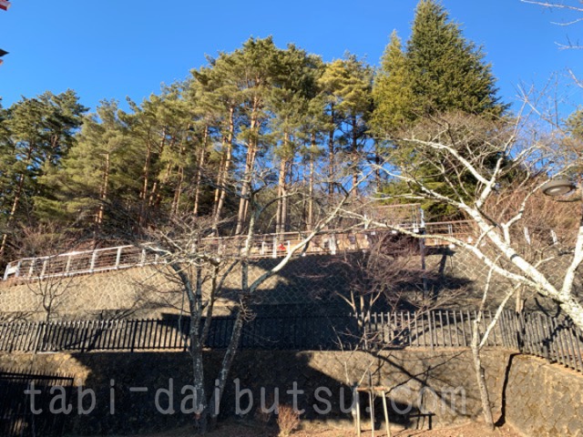 新倉山浅間公園の眺望広場
