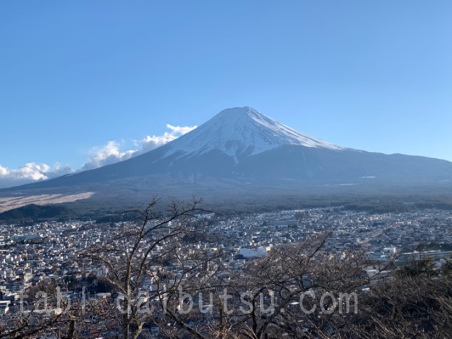 新倉山浅間公園から見る富士山