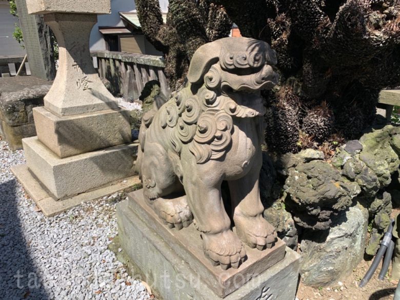 西叶神社狛犬1