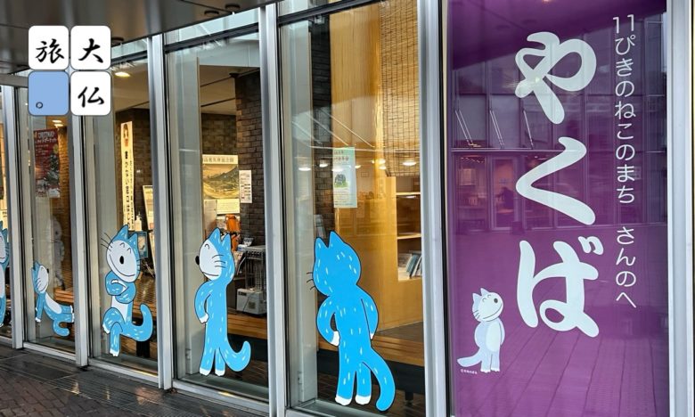 三戸町役場のねこ